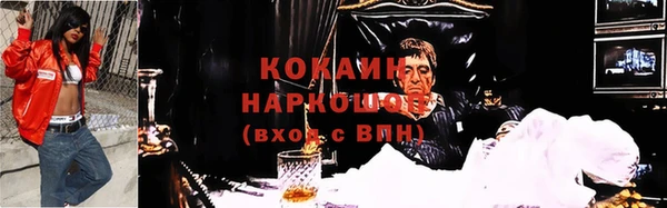 гашик Сафоново