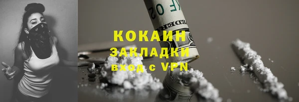 ПСИЛОЦИБИНОВЫЕ ГРИБЫ Чердынь