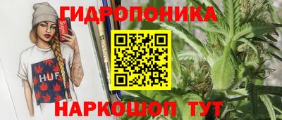 шишки Конаково