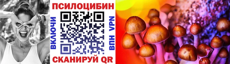 Псилоцибиновые грибы GOLDEN TEACHER  Лесозаводск 
