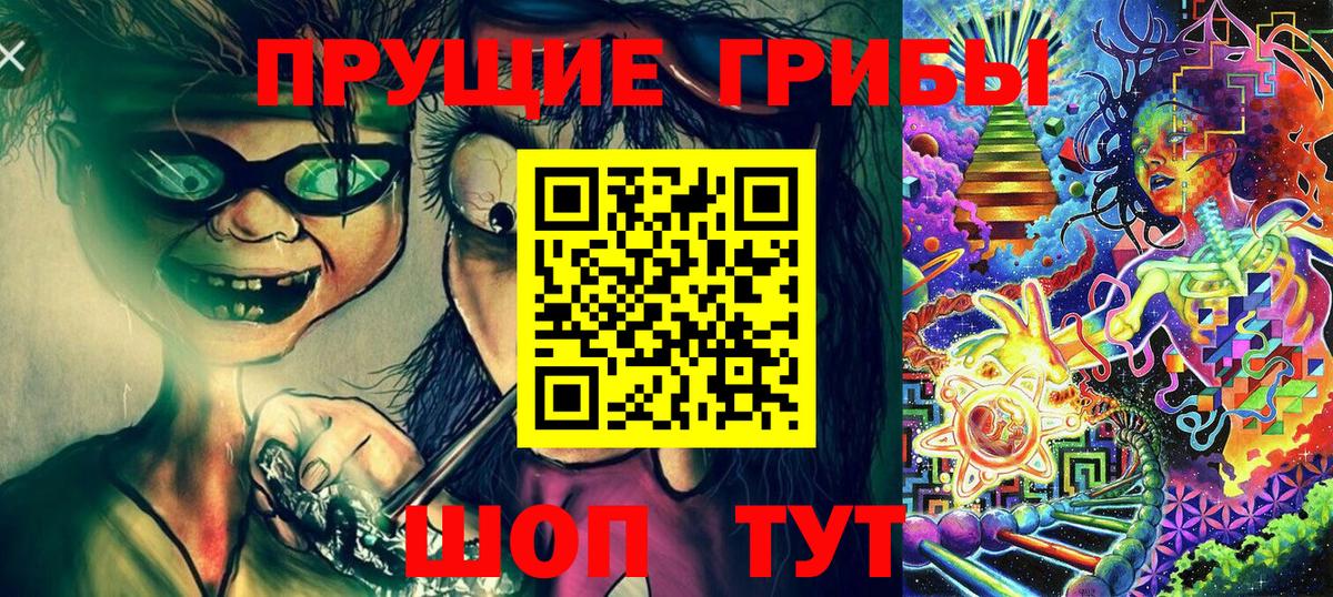 Псилоцибиновые грибы Cubensis Лесозаводск
