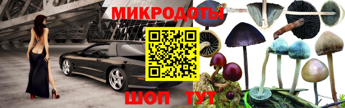Галлюциногенные грибы прущие грибы  Вход с VPN  Лесозаводск 